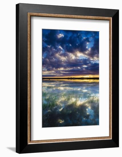 Wetlands at Sunrise, Bosque Del Apache National Wildlife Refuge, New Mexico, Usa-Russ Bishop-Framed Photographic Print