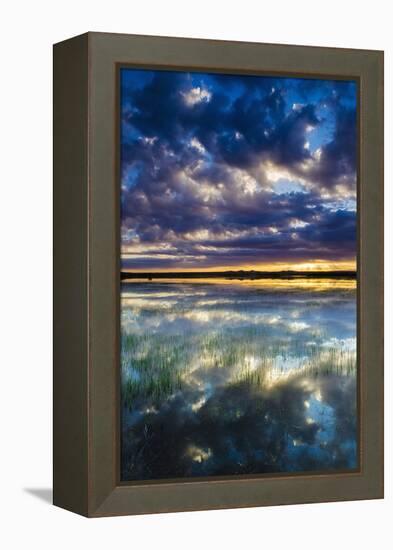 Wetlands at Sunrise, Bosque Del Apache National Wildlife Refuge, New Mexico, Usa-Russ Bishop-Framed Premier Image Canvas