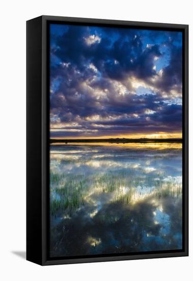 Wetlands at Sunrise, Bosque Del Apache National Wildlife Refuge, New Mexico, Usa-Russ Bishop-Framed Premier Image Canvas