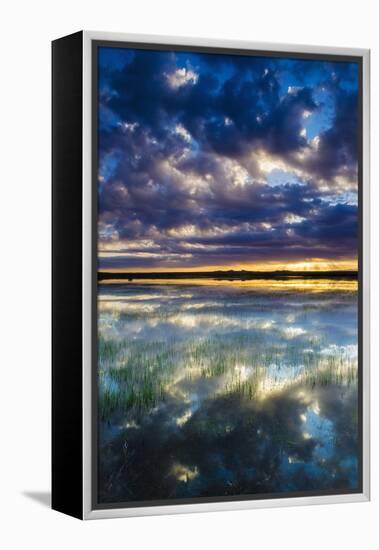 Wetlands at Sunrise, Bosque Del Apache National Wildlife Refuge, New Mexico, Usa-Russ Bishop-Framed Premier Image Canvas