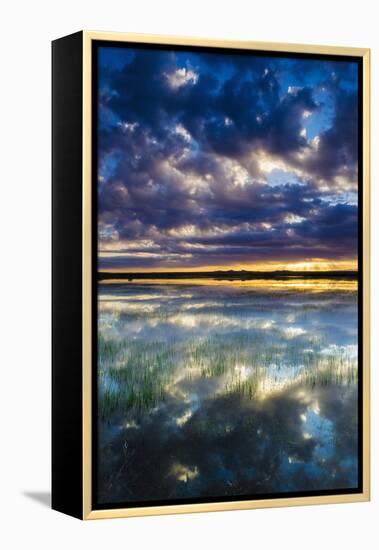 Wetlands at Sunrise, Bosque Del Apache National Wildlife Refuge, New Mexico, Usa-Russ Bishop-Framed Premier Image Canvas