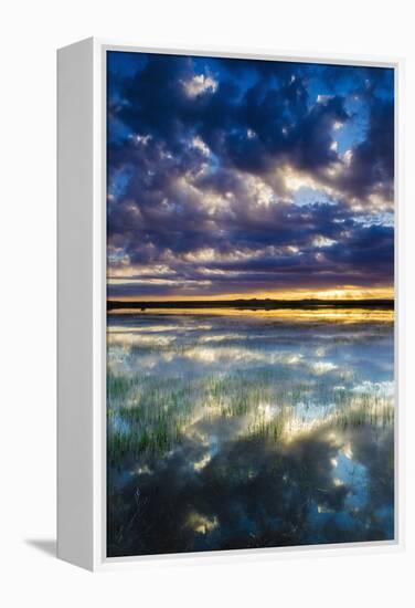 Wetlands at Sunrise, Bosque Del Apache National Wildlife Refuge, New Mexico, Usa-Russ Bishop-Framed Premier Image Canvas