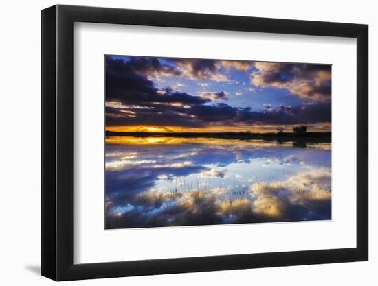 Wetlands at Sunrise, Bosque Del Apache National Wildlife Refuge, New Mexico-Russ Bishop-Framed Photographic Print