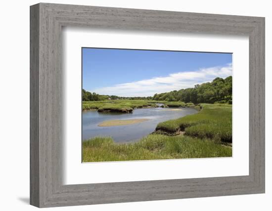 Wetlands, Barnstable, Cape Cod, Massachusetts, Usa-Susan Pease-Framed Photographic Print