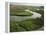 Wetlands of the Cooper River, North Charleston Area, South Carolina, USA-Maxwell Duncan-Framed Premier Image Canvas