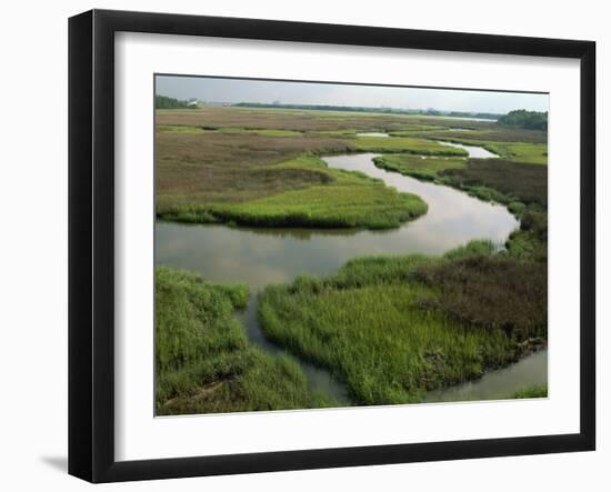 Wetlands of the Cooper River, North Charleston Area, South Carolina, USA-Maxwell Duncan-Framed Photographic Print