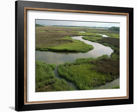 Wetlands of the Cooper River, North Charleston Area, South Carolina, USA-Maxwell Duncan-Framed Photographic Print