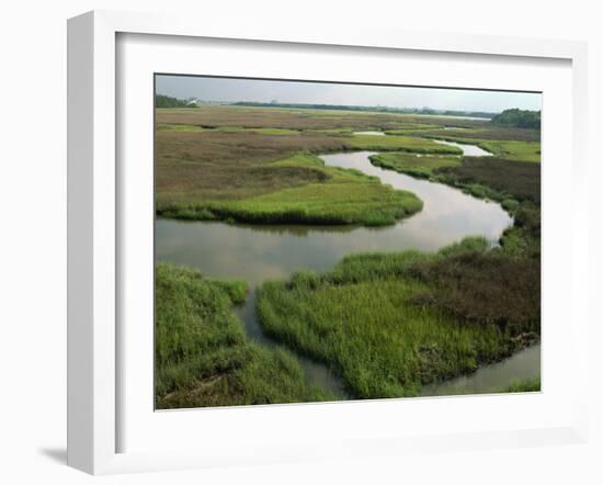 Wetlands of the Cooper River, North Charleston Area, South Carolina, USA-Maxwell Duncan-Framed Photographic Print