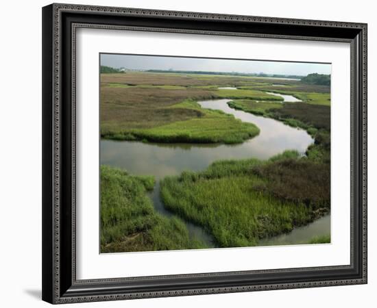 Wetlands of the Cooper River, North Charleston Area, South Carolina, USA-Maxwell Duncan-Framed Photographic Print