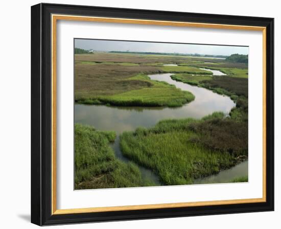 Wetlands of the Cooper River, North Charleston Area, South Carolina, USA-Maxwell Duncan-Framed Photographic Print