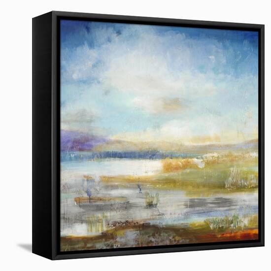 Wetlands-Jill Martin-Framed Stretched Canvas