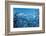 Wetterstein Massif with Zugspitze, Winter Scenery-Marc Gilsdorf-Framed Photographic Print