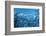 Wetterstein Massif with Zugspitze, Winter Scenery-Marc Gilsdorf-Framed Photographic Print