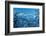 Wetterstein Massif with Zugspitze, Winter Scenery-Marc Gilsdorf-Framed Photographic Print