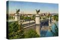 Stretched Canvas Print
