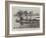 Weybridge Regatta, Robinson Crusoe Prize Boat-null-Framed Giclee Print