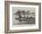 Weybridge Regatta, Robinson Crusoe Prize Boat-null-Framed Giclee Print