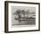 Weybridge Regatta, Robinson Crusoe Prize Boat-null-Framed Giclee Print