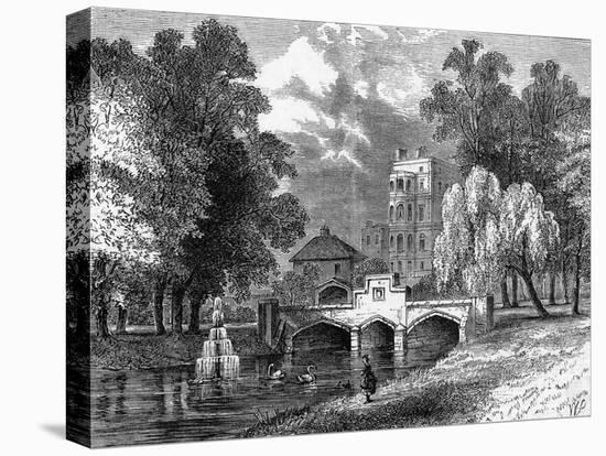 Stretched Canvas Print, , large
