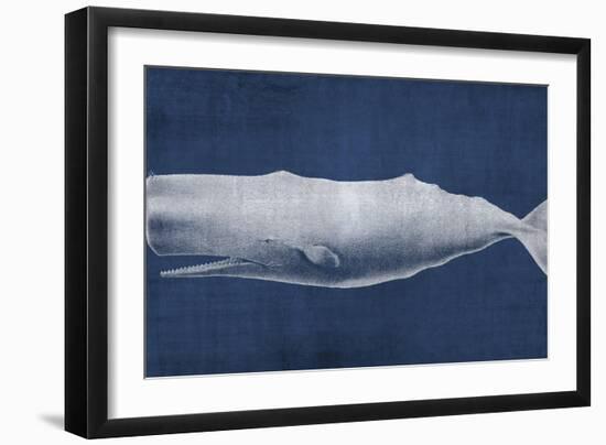 Whale 1 V2-Denise Brown-Framed Art Print
