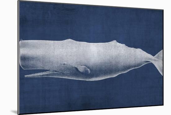 Whale 1 V2-Denise Brown-Mounted Art Print