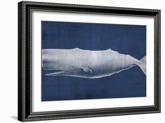 Whale 1 V2-Denise Brown-Framed Art Print