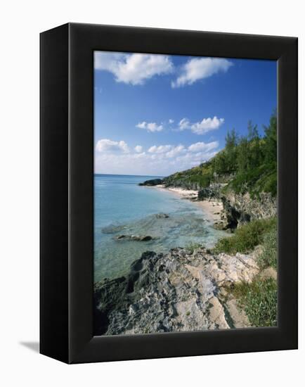 Whale Beach, Bermuda, Central America, Mid Atlantic-Harding Robert-Framed Premier Image Canvas