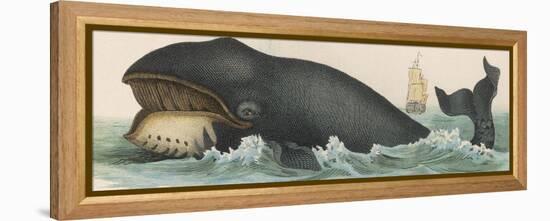 Whale, c.1870-null-Framed Premier Image Canvas