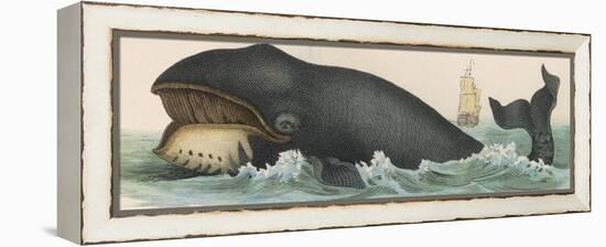 Whale, c.1870-null-Framed Premier Image Canvas