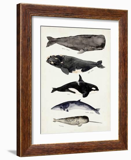 Whale Chart I-Victoria Barnes-Framed Art Print