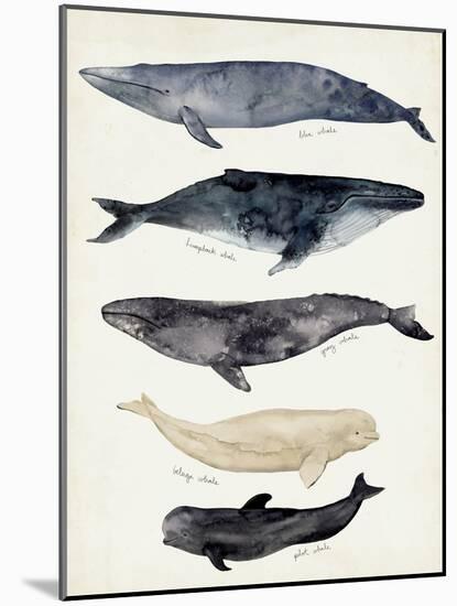 Whale Chart II-Victoria Barnes-Mounted Art Print