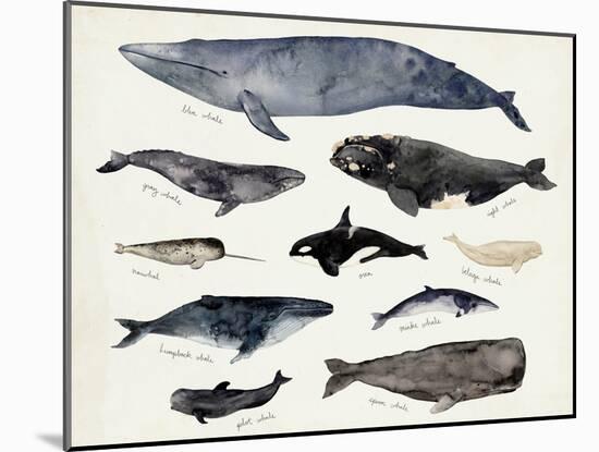 Whale Chart III-Victoria Barnes-Mounted Art Print
