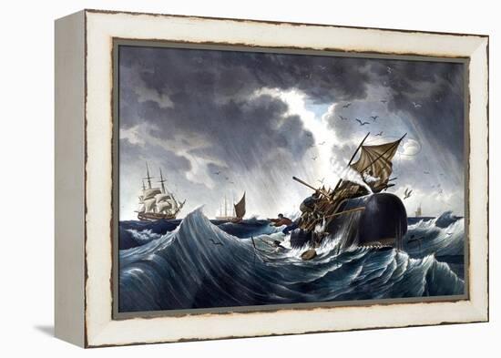 Whale Destroying Whaling Ship, C.1875-null-Framed Premier Image Canvas