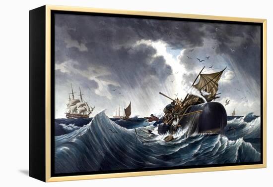 Whale Destroying Whaling Ship, C.1875-null-Framed Premier Image Canvas