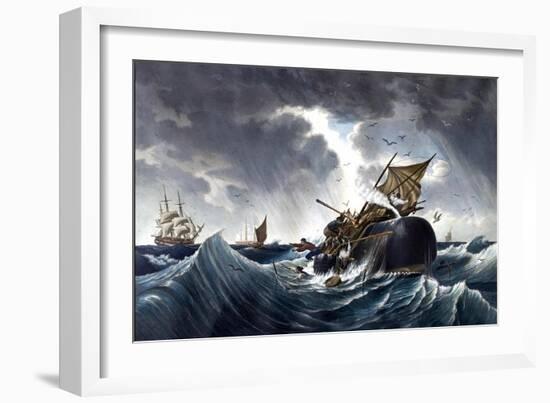 Whale Destroying Whaling Ship, C.1875-null-Framed Giclee Print