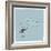 Whale Dive-Reza Farazmand-Framed Art Print