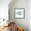 Whale Family I-Janet Tava-Framed Art Print displayed on a wall