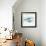 Whale Family I-Janet Tava-Framed Art Print displayed on a wall