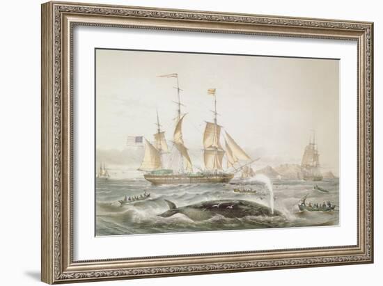 Whale Fishing, Published by E. Gambert and Co., 1853-Louis Lebreton-Framed Giclee Print