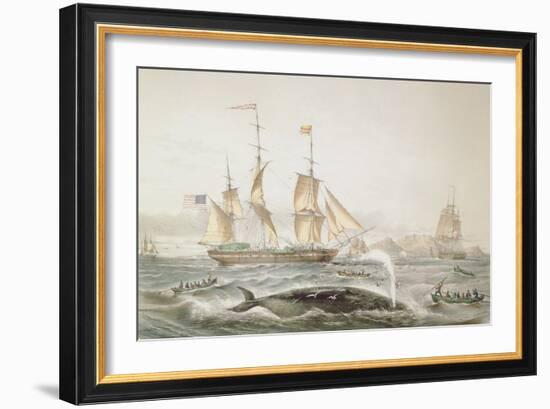 Whale Fishing, Published by E. Gambert and Co., 1853-Louis Lebreton-Framed Giclee Print