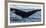 Whale in the ocean, Southern Ocean, Antarctic Peninsula, Antarctica-Panoramic Images-Framed Photographic Print