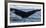 Whale in the ocean, Southern Ocean, Antarctic Peninsula, Antarctica-Panoramic Images-Framed Photographic Print