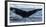 Whale in the ocean, Southern Ocean, Antarctic Peninsula, Antarctica-Panoramic Images-Framed Photographic Print