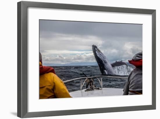 Whale Jump-Alexey Mhoyan-Framed Photographic Print