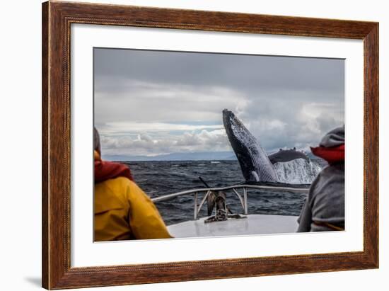 Whale Jump-Alexey Mhoyan-Framed Photographic Print