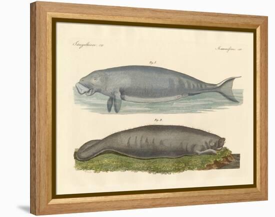 Whale-Like Animals-null-Framed Premier Image Canvas