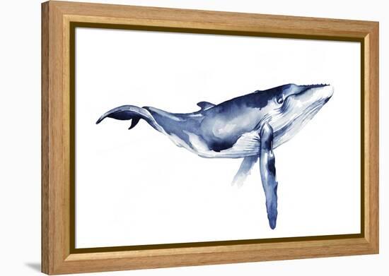 Whale Portrait I-Grace Popp-Framed Stretched Canvas