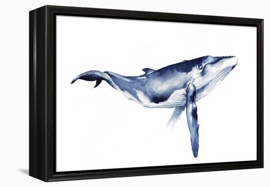 Whale Portrait I-Grace Popp-Framed Stretched Canvas