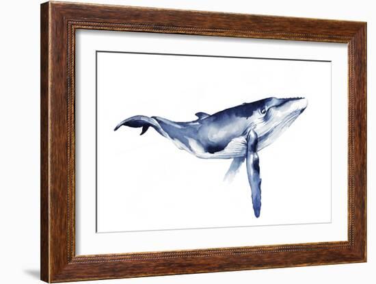 Whale Portrait I-Grace Popp-Framed Art Print