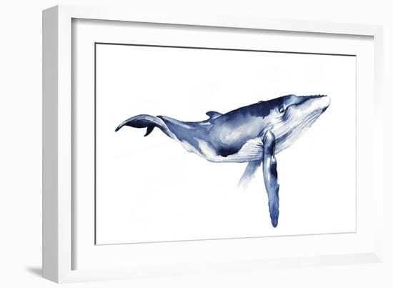 Whale Portrait I-Grace Popp-Framed Art Print